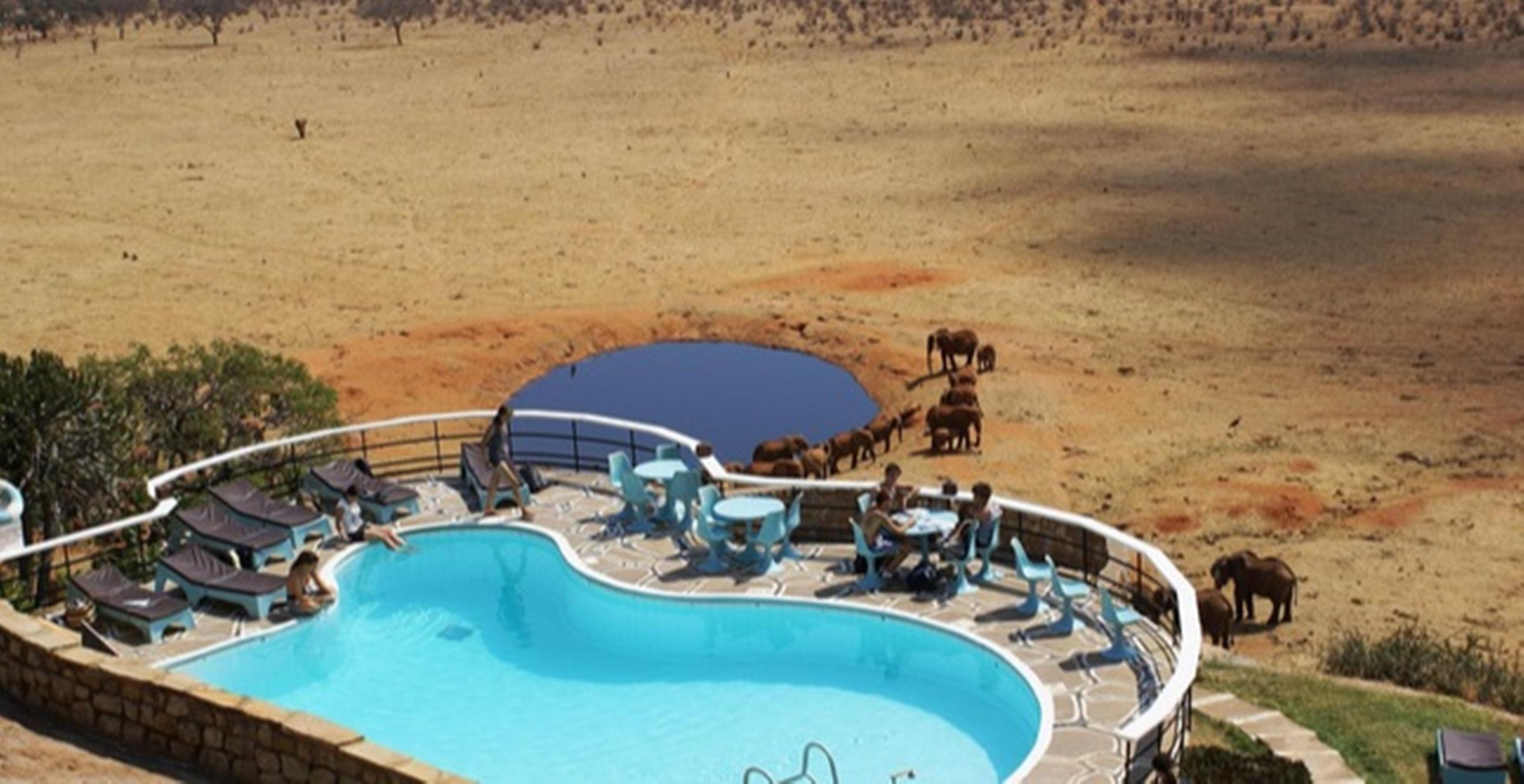 Voi Safari Lodge Εξωτερικό φωτογραφία